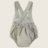 Peto Olive